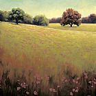 Unknown Artist James Wiens Poppy Fields II painting
